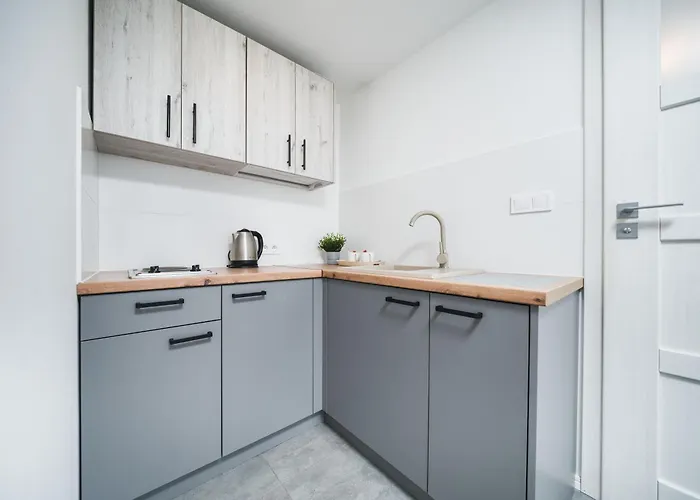 Ice Appartement Cracovie